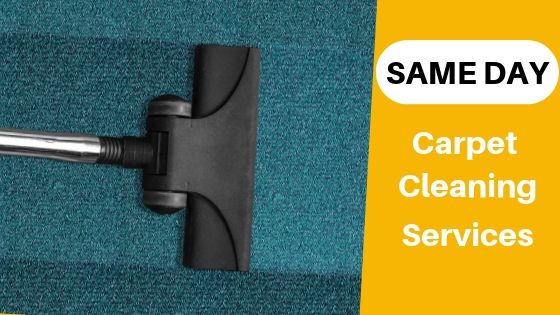 Same Day Carpet Cleaning