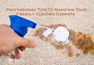 Professional Tips To Maintain Your Freshly Cleaned Carpets