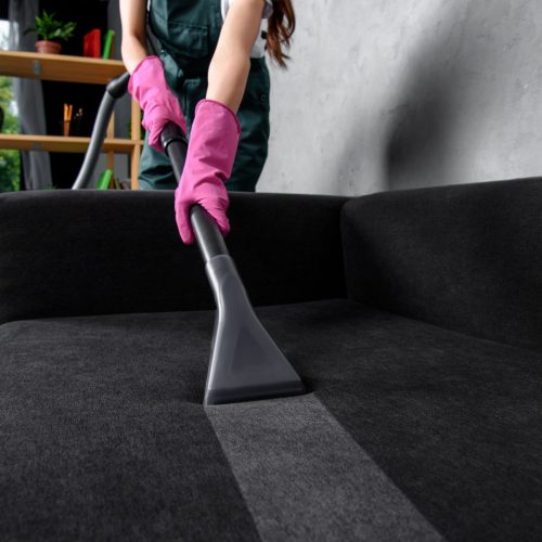 Upholstery Cleaning - cleaner using vacuum to clean upholstery