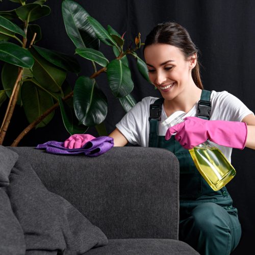 Upholstery Cleaning - woman cleaning upholstery and smiling with pink gloves on